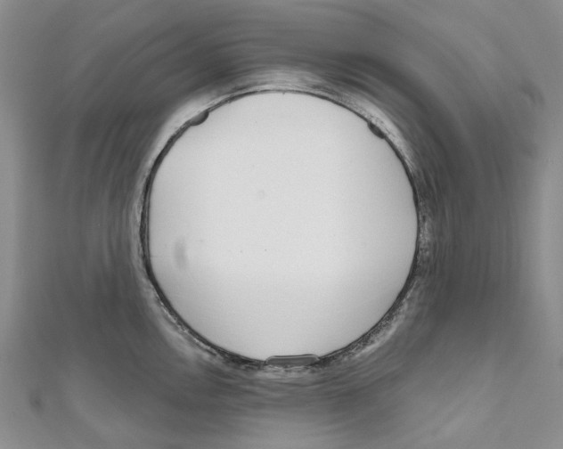 X0000110981146200907171726
