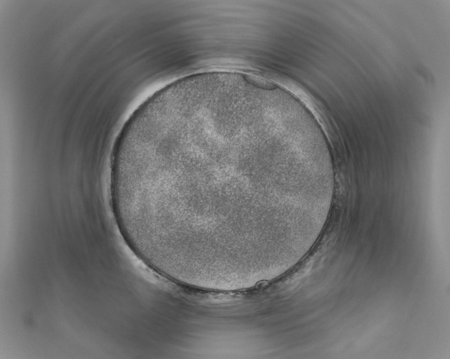 X0000110981147200907171726