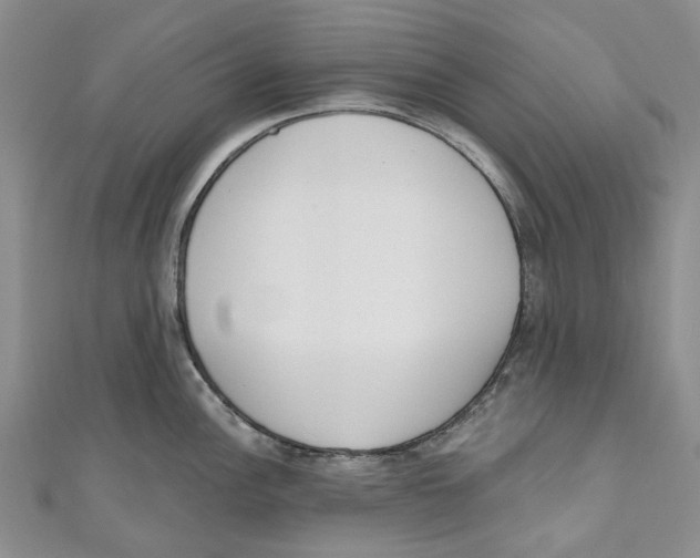 X0000110981148200907171726