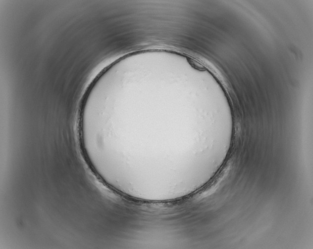 X0000110981149200907171726