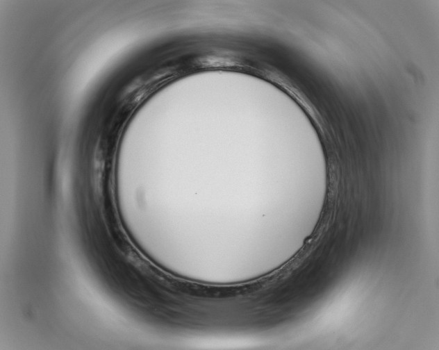 X0000110981151200907171726
