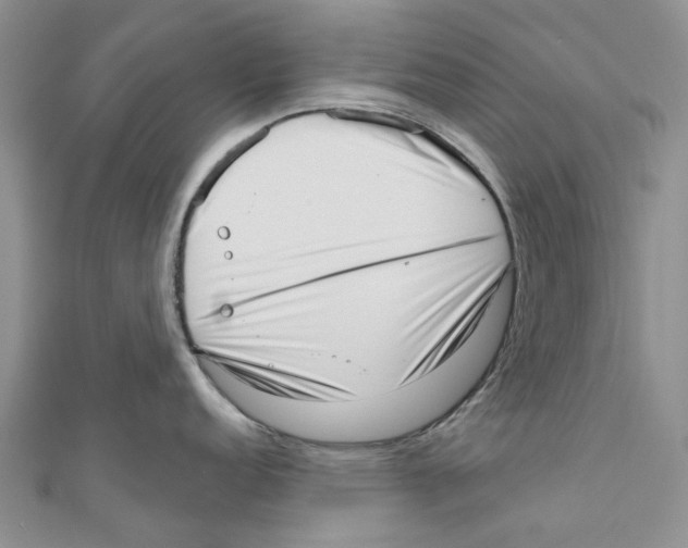 X0000110981152200907171726