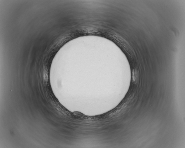 X0000110981155200907171726