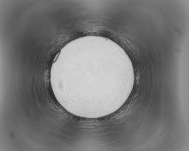 X0000110981156200907171726