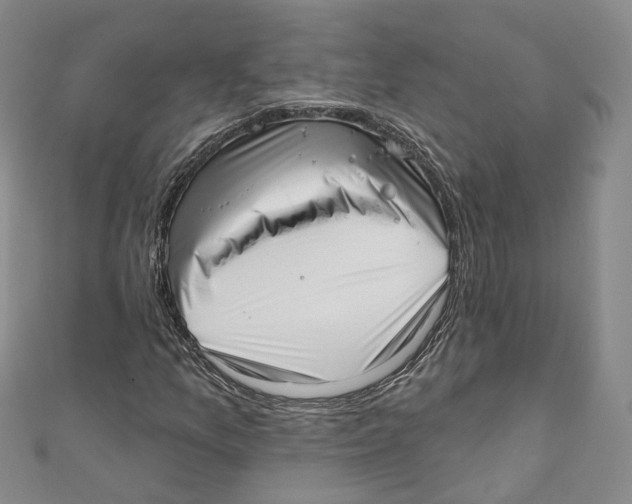 X0000110981157200907171726