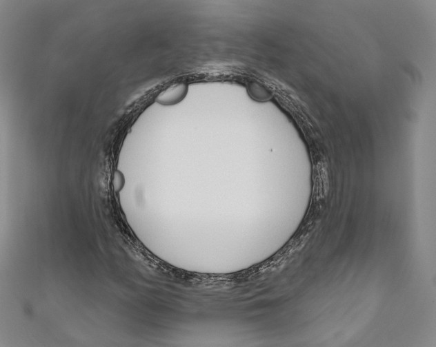 X0000110981158200907171726