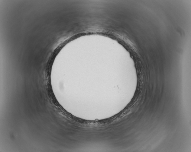 X0000110981160200907171726