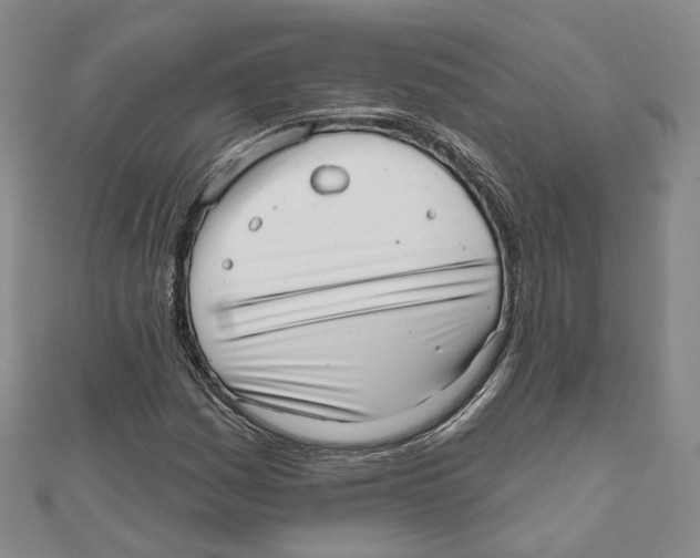 X0000110981161200907171726