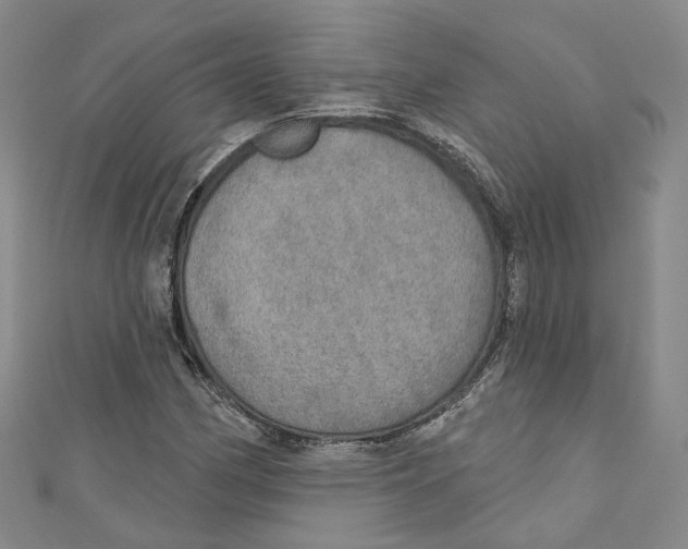 X0000110981162200907171726