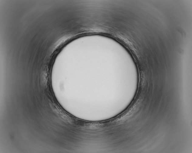 X0000110981163200907171726