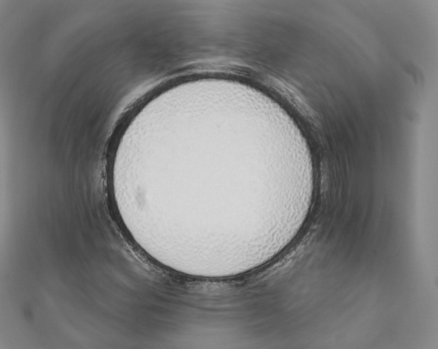 X0000110981164200907171726