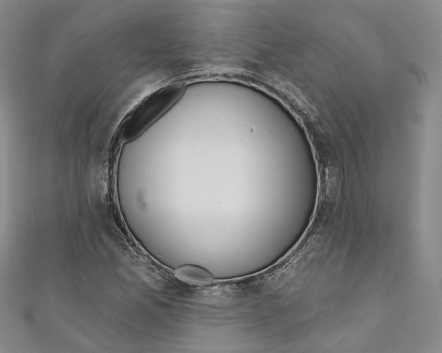 X0000110981165200907171726