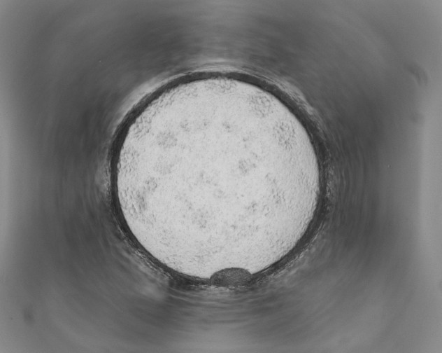 X0000110981167200907171726
