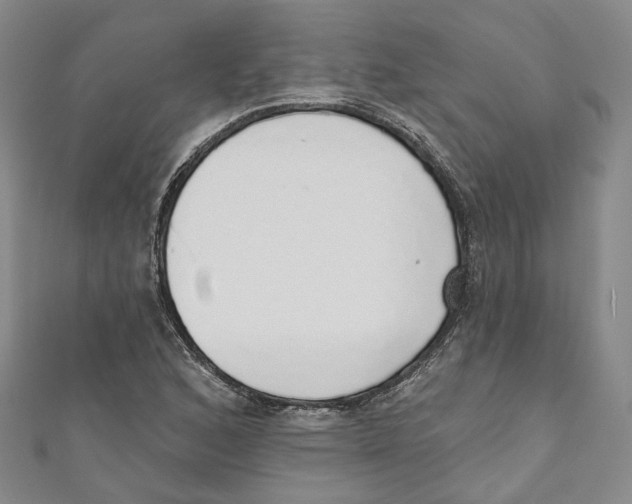 X0000110981168200907171726