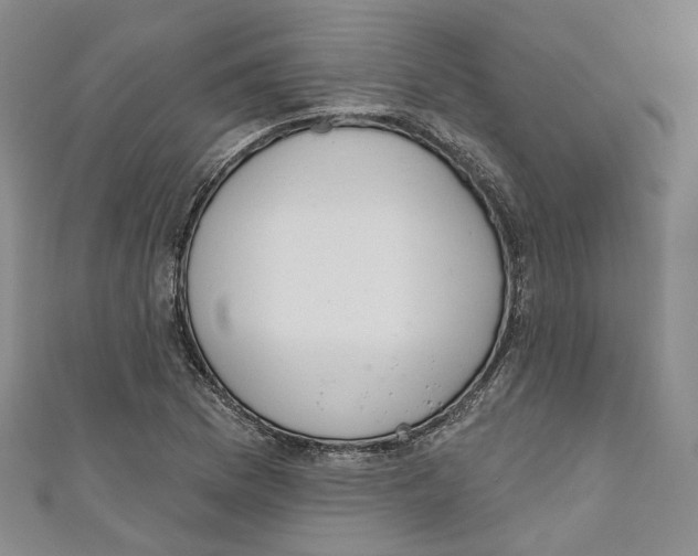 X0000110981169200907171726