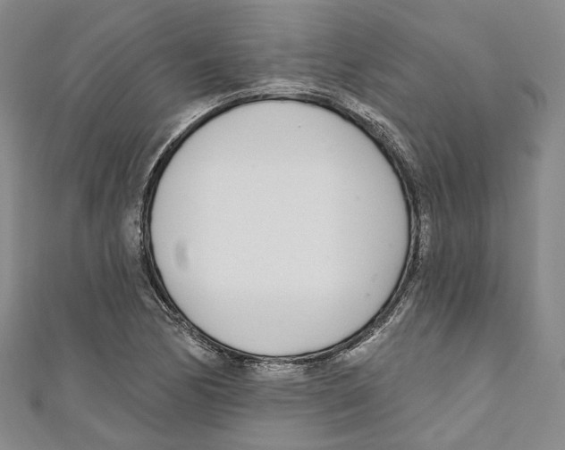 X0000110981170200907171725