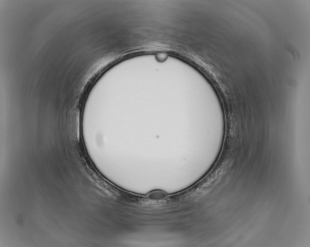 X0000110981171200907171725