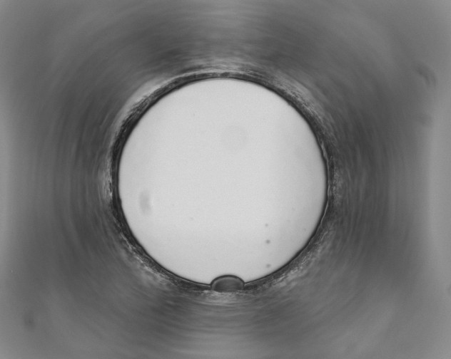 X0000110981172200907171725