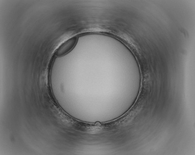 X0000110981173200907171725