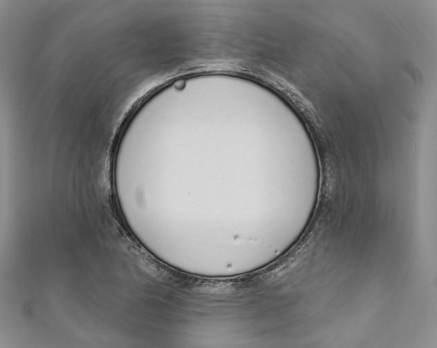 X0000110981174200907171725