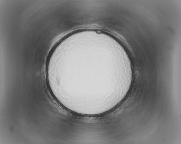 X0000110981176200907171725