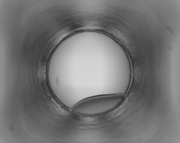 X0000110981177200907171725