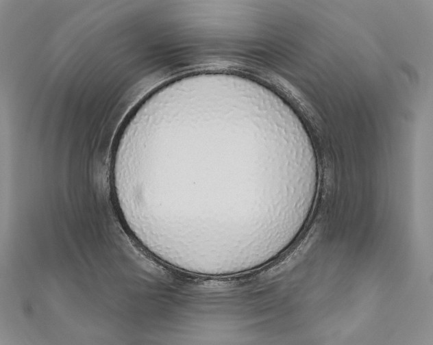 X0000110981178200907171725