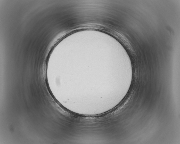 X0000110981180200907171725