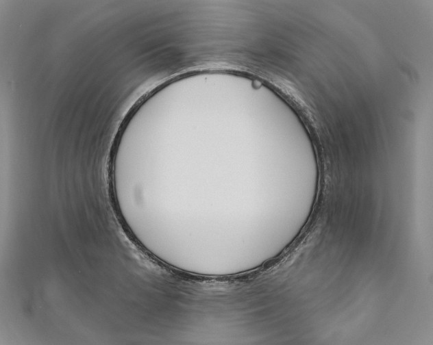X0000110981181200907171725