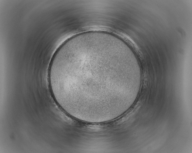 X0000110981182200907171725