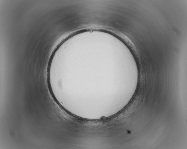 X0000110981183200907171725