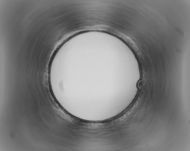 X0000110981184200907171725