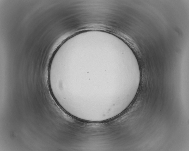 X0000110981188200907171725
