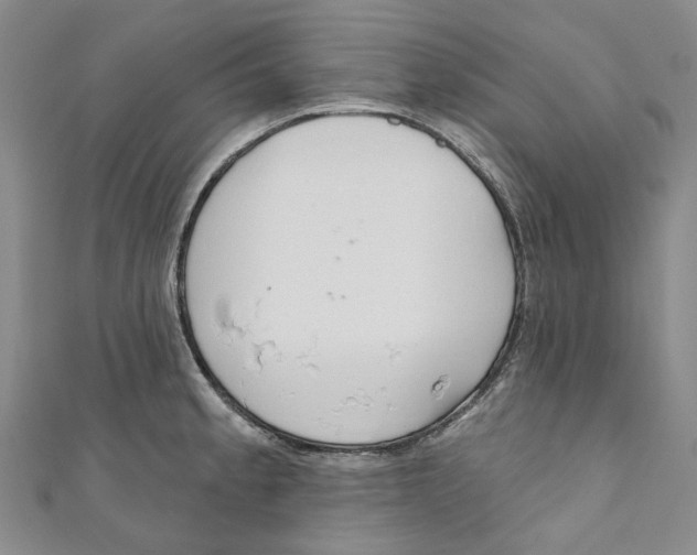 X0000110981189200907171725