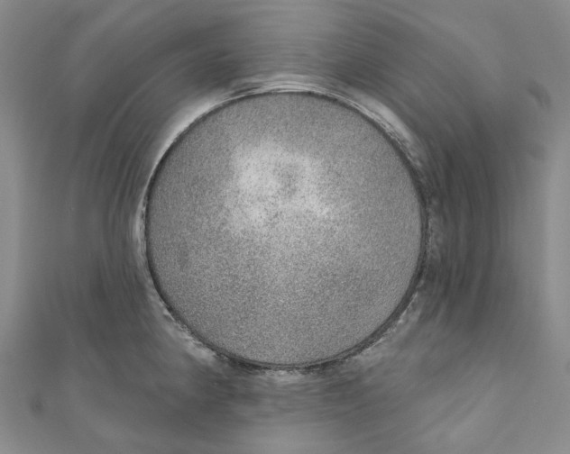 X0000110981190200907171725