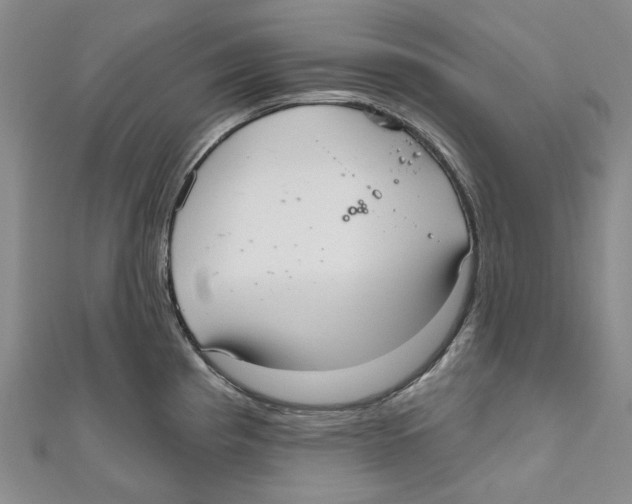 X0000110981193200907171725
