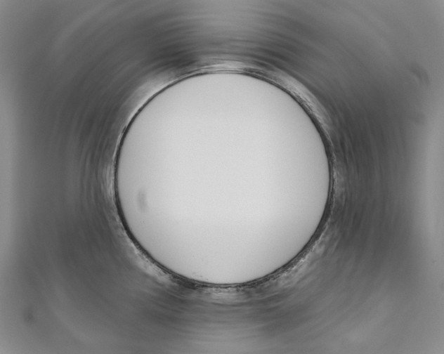 X0000110981194200907171725