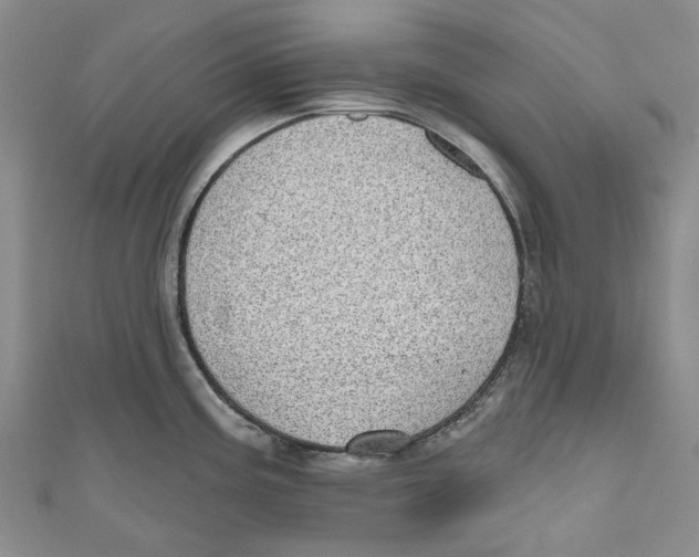 X0000110981195200907171725