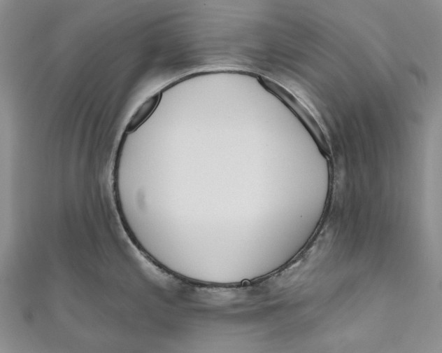 X0000110981197200907171725