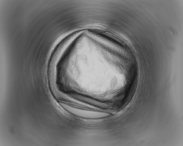 X0000110981200200907171725