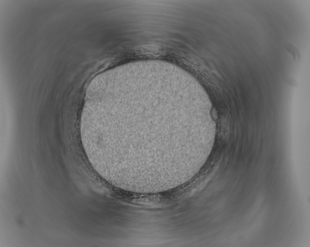 X0000110981201200907171724
