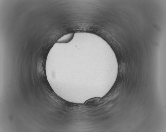 X0000110981202200907171724