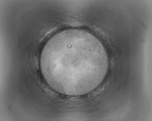 X0000110981205200907171724