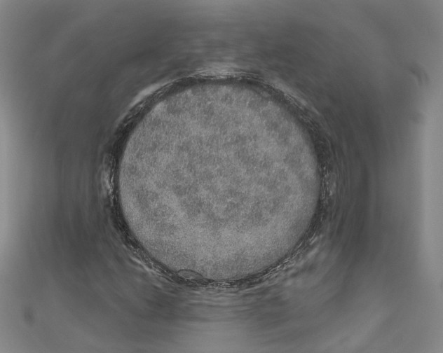 X0000110981206200907171724