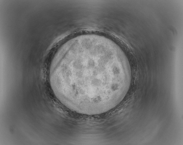 X0000110981207200907171724