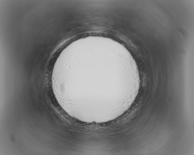 X0000110981208200907171724