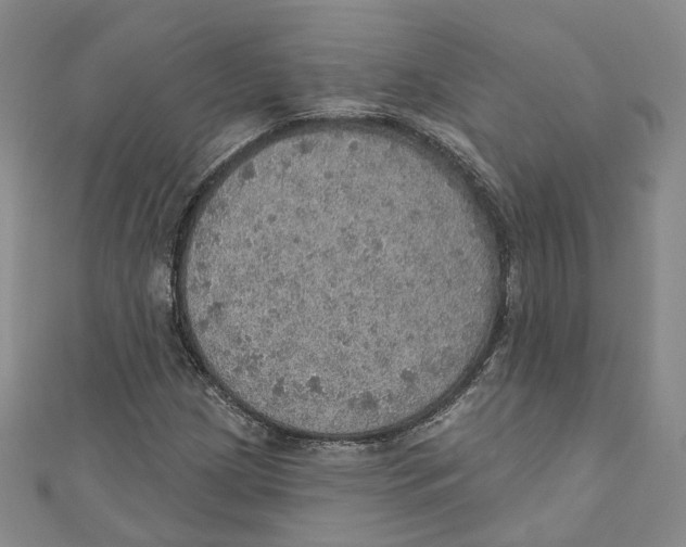 X0000110981209200907171724