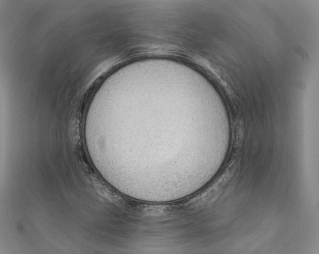 X0000110981211200907171724