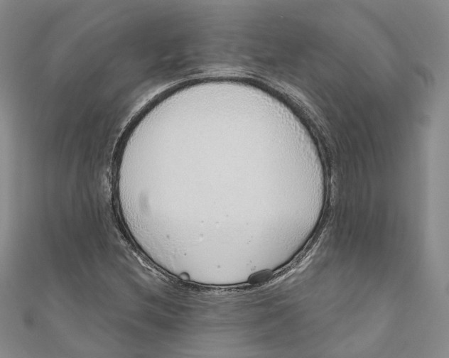 X0000110981212200907171724