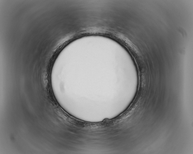 X0000110981213200907171724